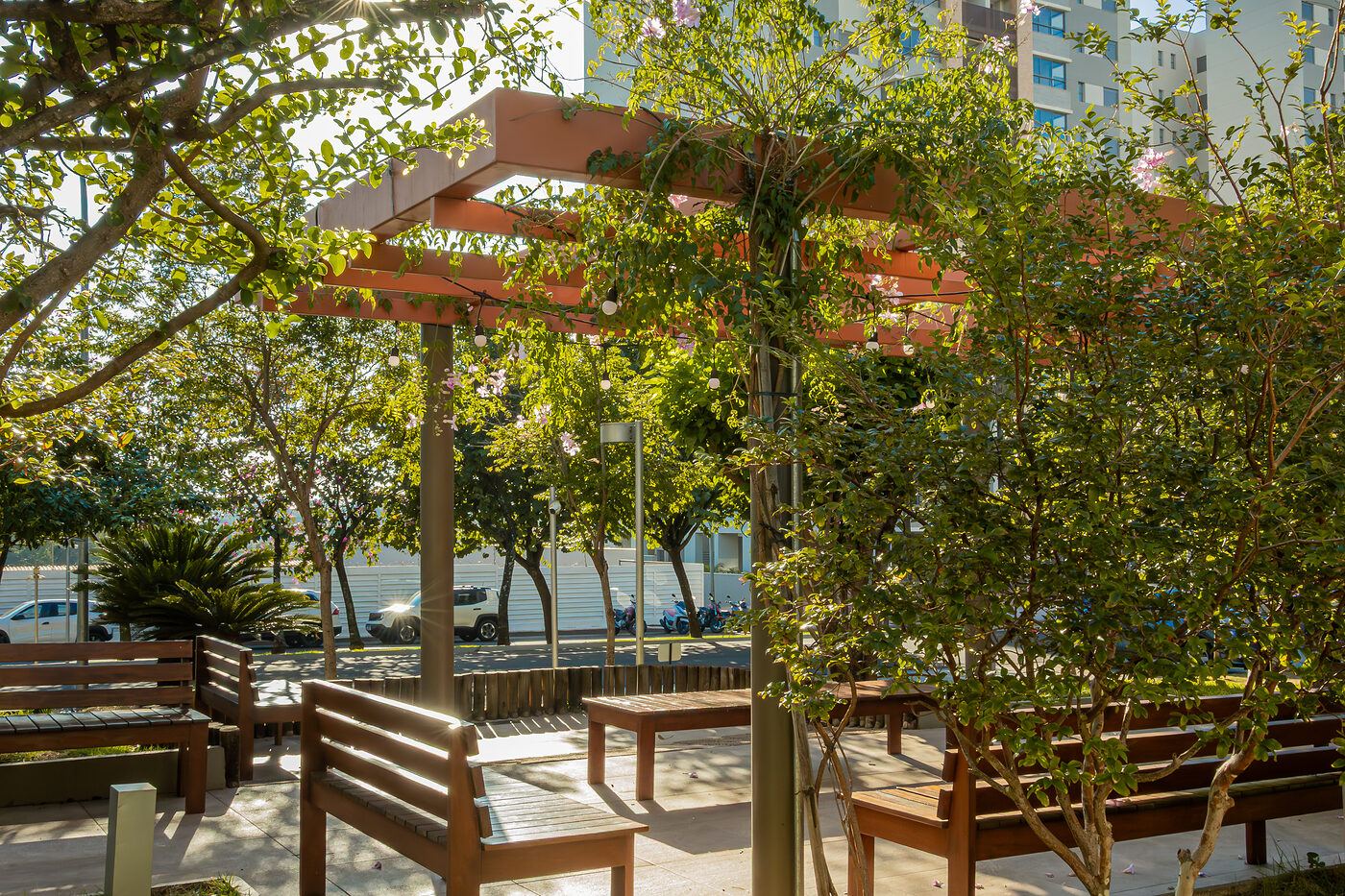 Pergolado com bancos no jardim